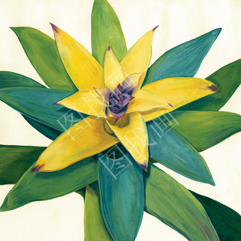 04HTK (456) 30x30cm